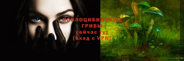 синтетический гашиш Бородино