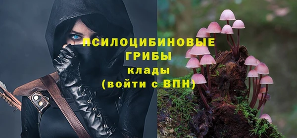 mix Богородицк