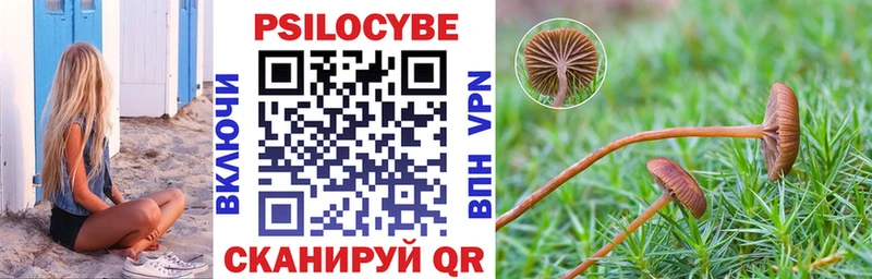магазин продажи наркотиков  Заозёрск  blacksprut зеркало  Псилоцибиновые грибы Psilocybine cubensis 